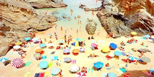 Seaside Reads for Your Little Beach Bums Banner Photo