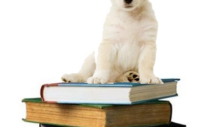 Puppy Love Banner Photo