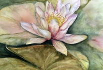 Nancy Present-Van Broekhoven, Lotus, Watercolor