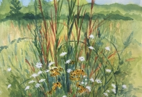 Naomi Wilsey, Salt Marsh Farm, Watercolor